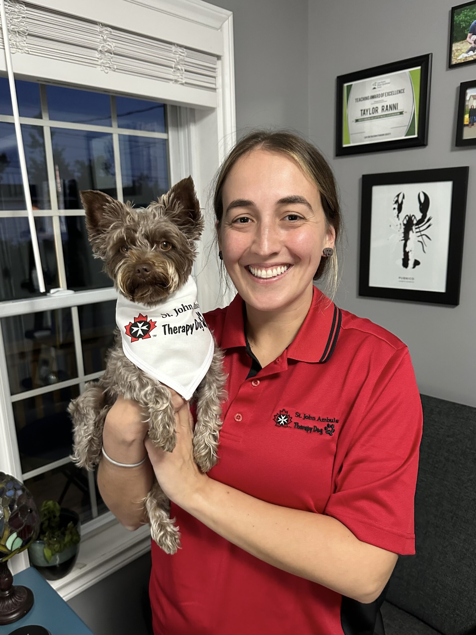 Sydney airport starts therapy dog program