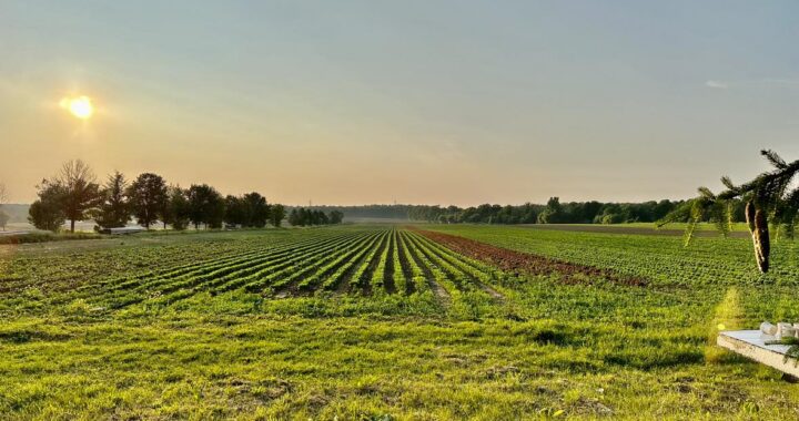 Waterloo Region Wilmot Land Assembly Update