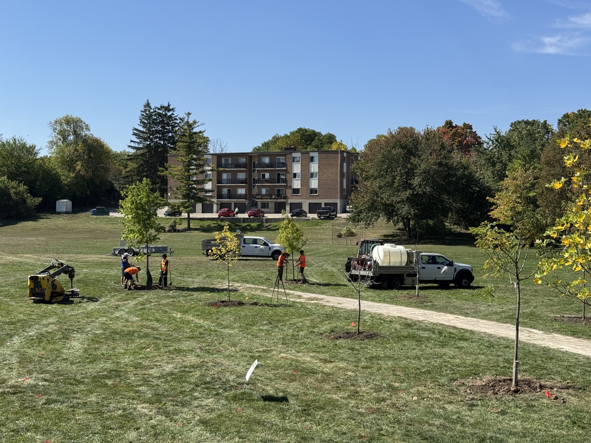 An update on Kitchener’s Community Canopy Program
