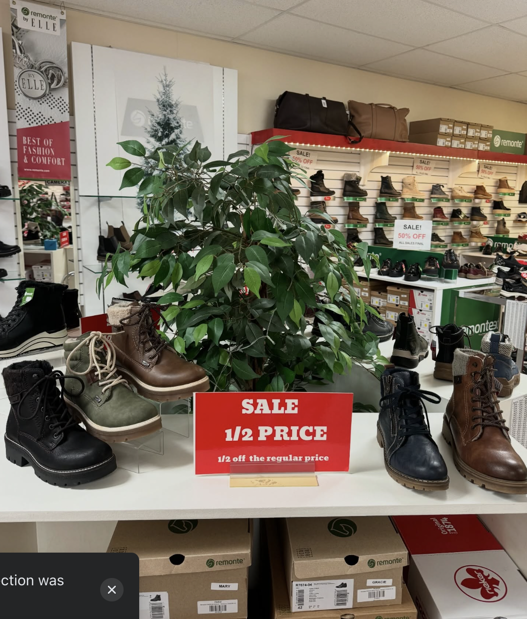 Sydney’s The Shoe Tree closing after 120 years in business